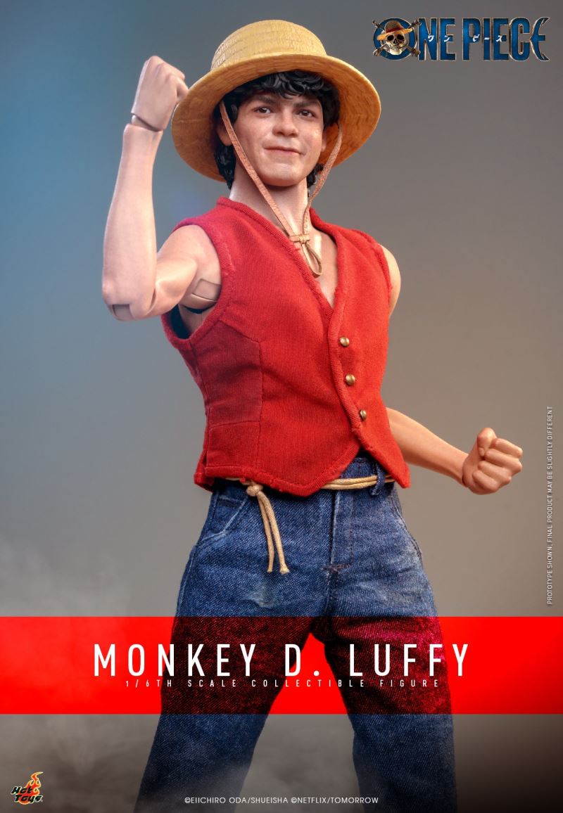 Monkey D. Luffy - One Piece 1/6