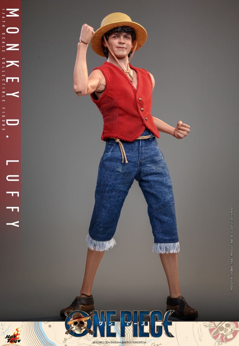 Monkey D. Luffy - One Piece 1/6