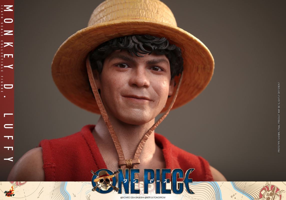 Monkey D. Luffy - One Piece 1/6