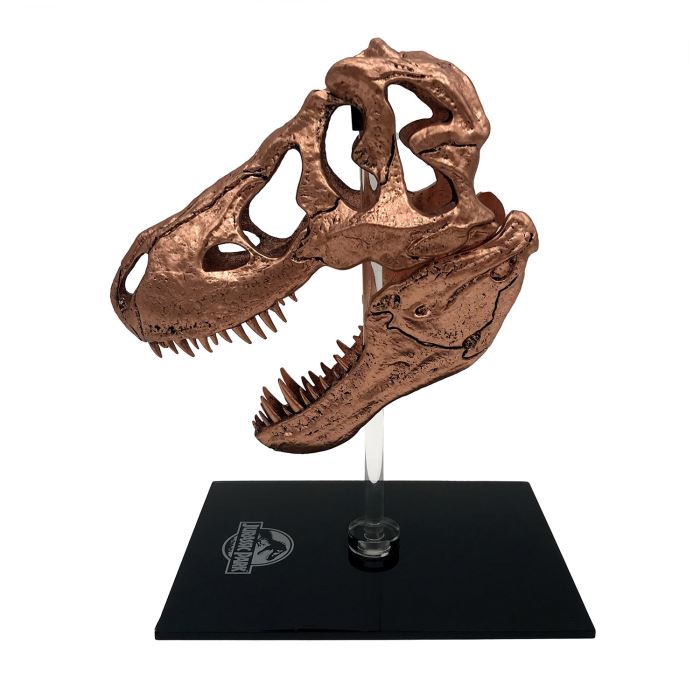T-REX SKULL