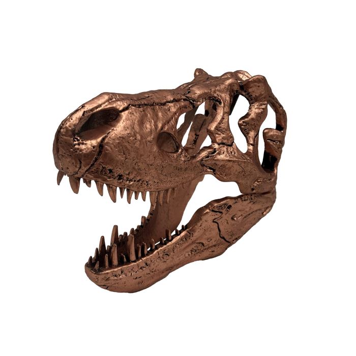T-REX SKULL