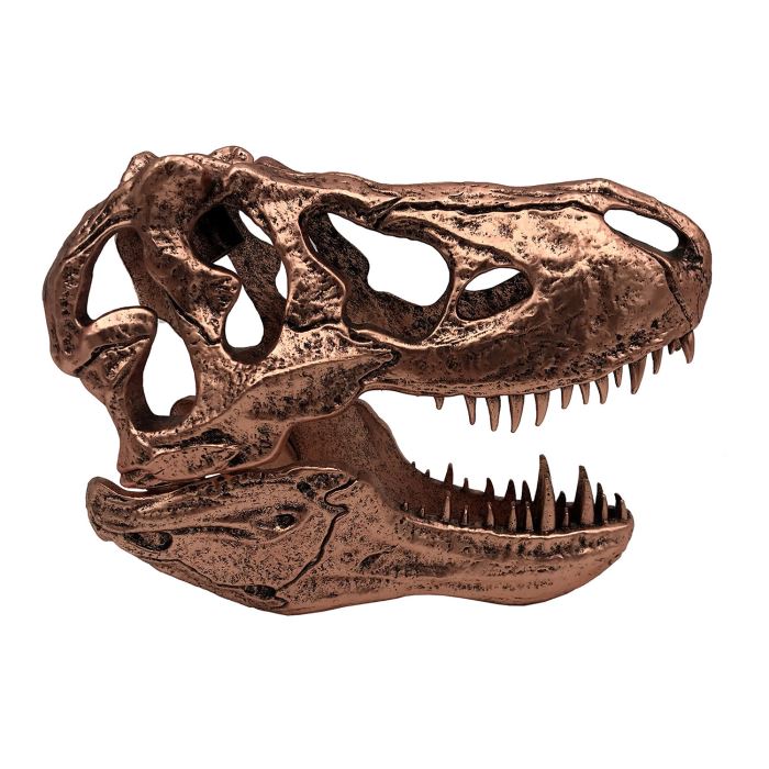 T-REX SKULL