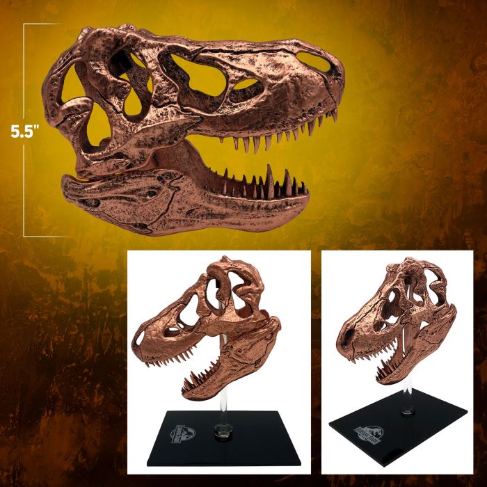 T-REX SKULL