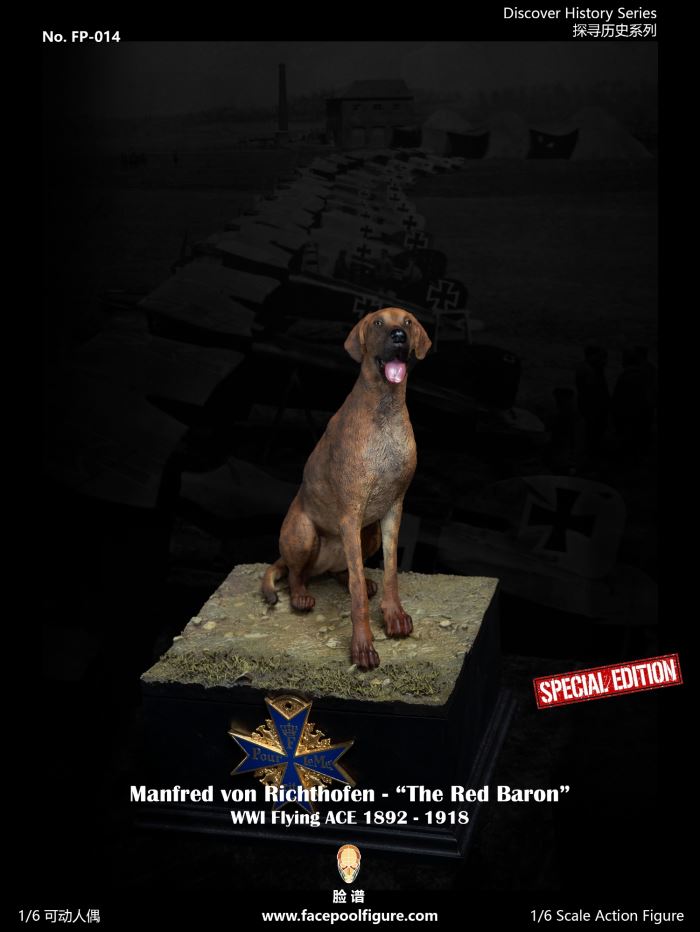 World War I ace pilot Red Baron 1/6