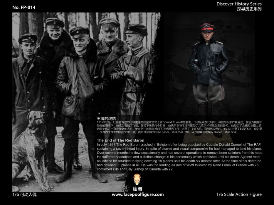 World War I ace pilot Red Baron 1/6
