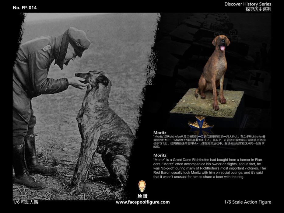 World War I ace pilot Red Baron 1/6