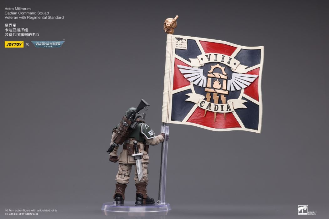 Sword Guard Veteran/Cadia Command Team