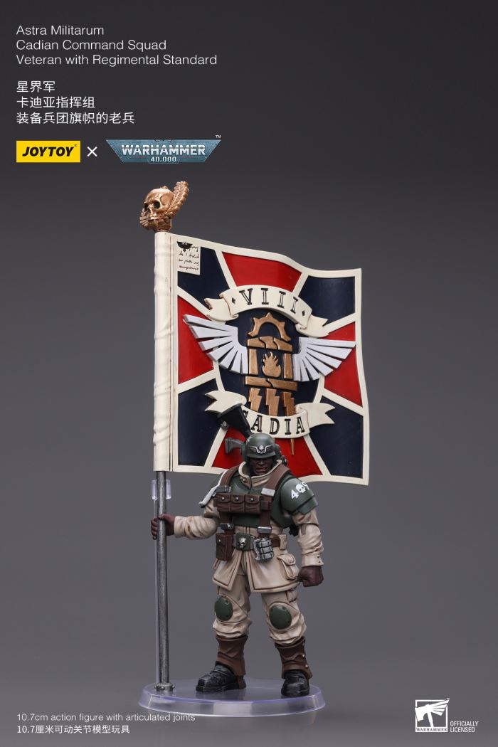 Sword Guard Veteran/Cadia Command Team