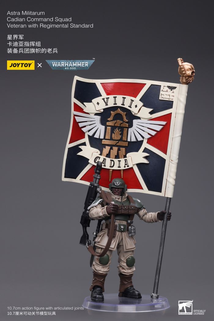 Sword Guard Veteran/Cadia Command Team