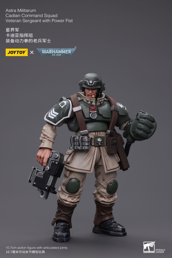 Sword Guard Veteran/Cadia Command Team