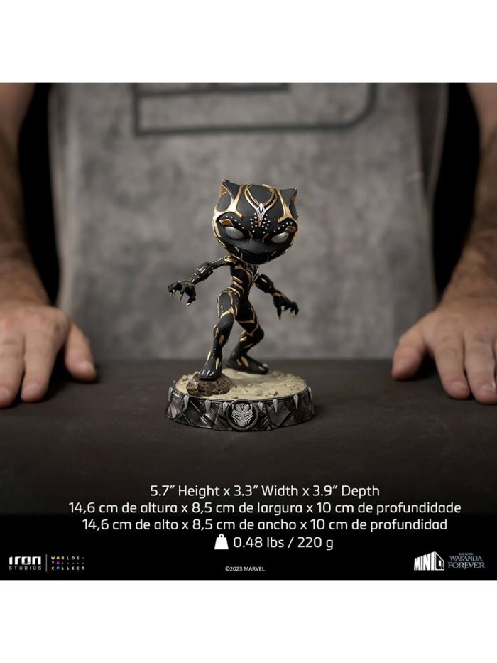 Black Panther Shuri - Wakanda Forever - MiniCo