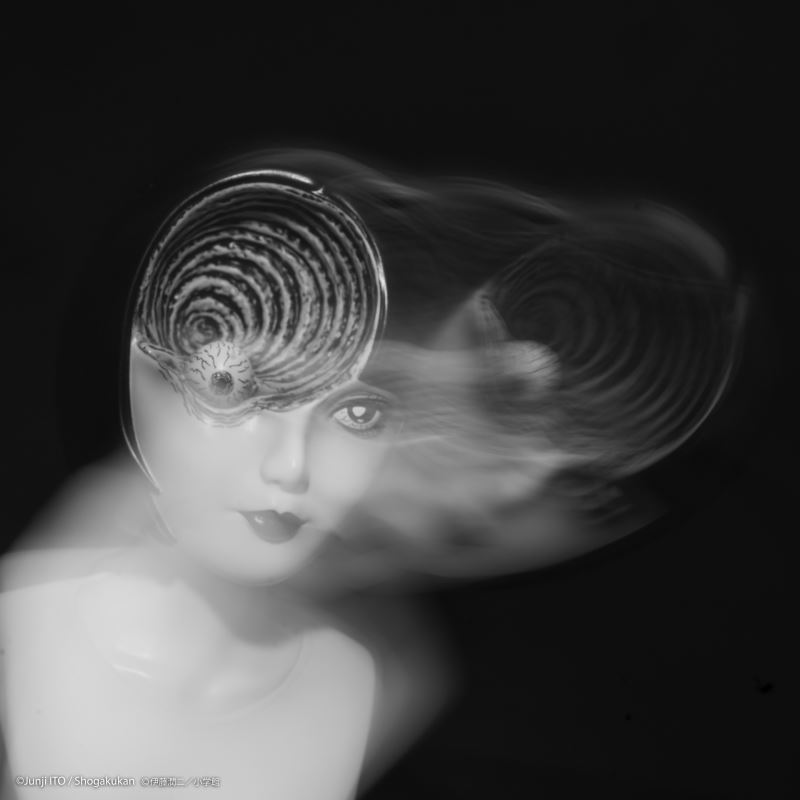 Azami Kurotani, Kirie by Junji Ito soft vinyl bust