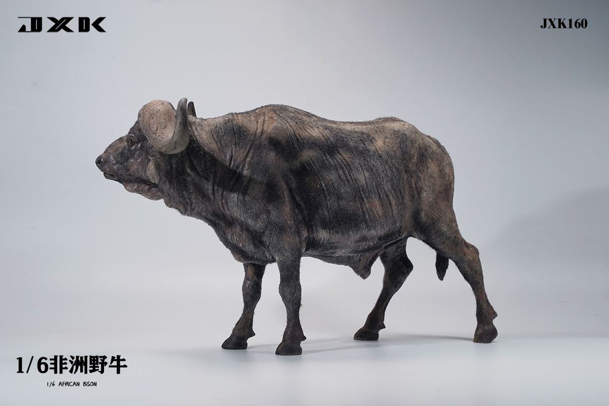 Syncerus Caffer 1/6
