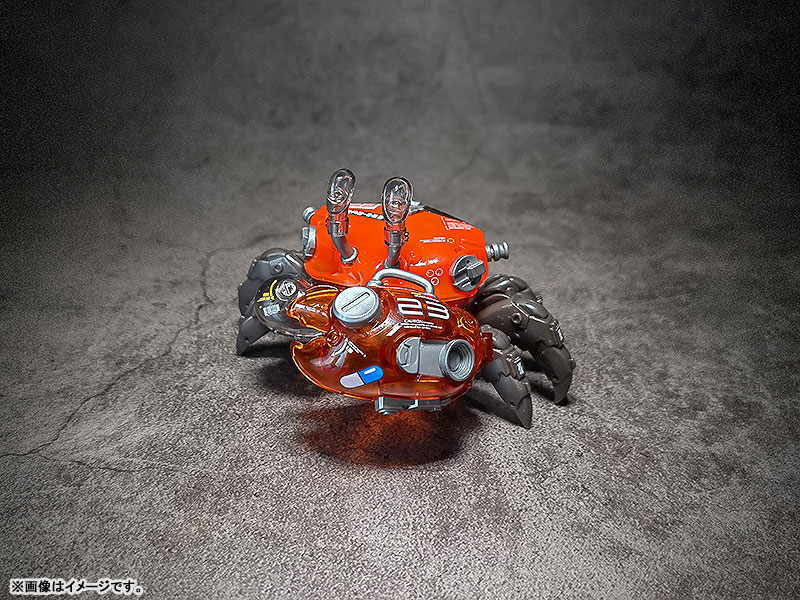 AQUACULTURE TANK 008 Fiddler Crab