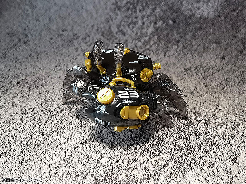 AQUACULTURE TANK 008 Fiddler Crab