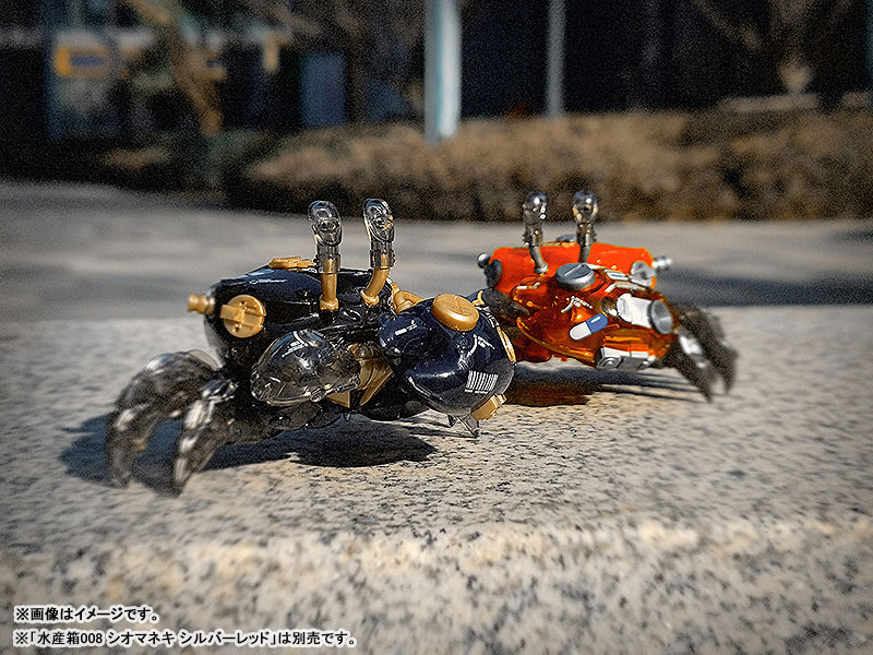 AQUACULTURE TANK 008 Fiddler Crab