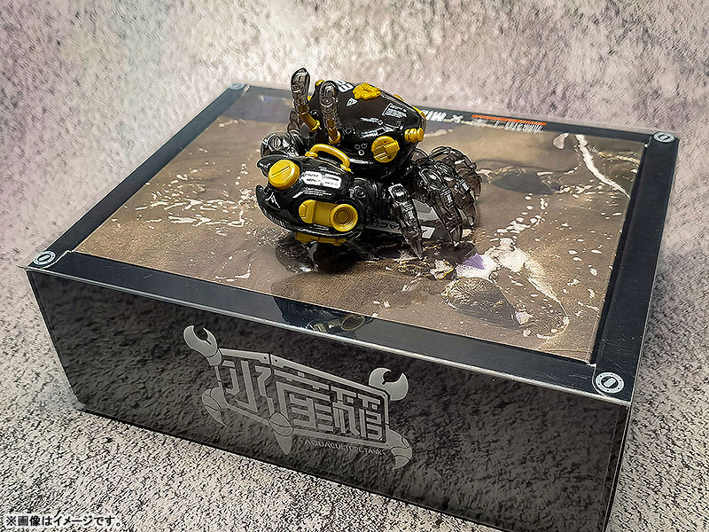 AQUACULTURE TANK 008 Fiddler Crab