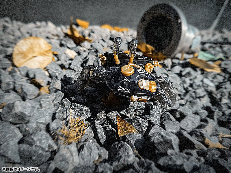 AQUACULTURE TANK 008 Fiddler Crab