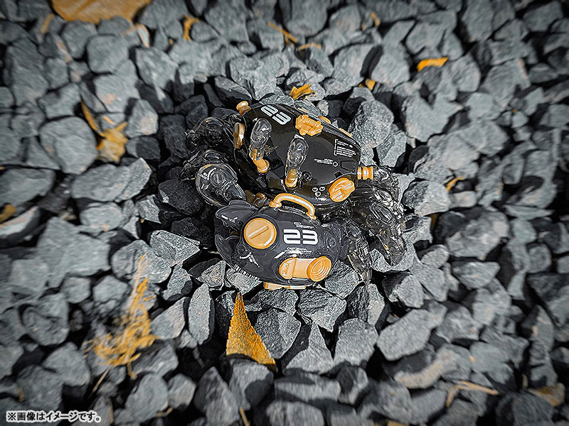 AQUACULTURE TANK 008 Fiddler Crab