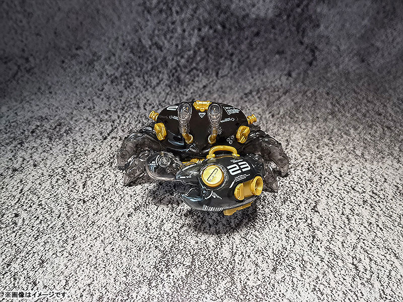 AQUACULTURE TANK 008 Fiddler Crab