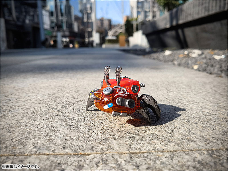 AQUACULTURE TANK 008 Fiddler Crab