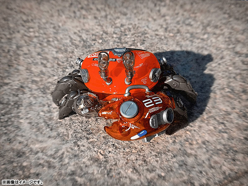 AQUACULTURE TANK 008 Fiddler Crab