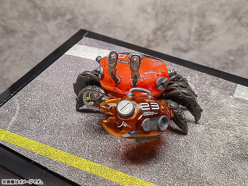 AQUACULTURE TANK 008 Fiddler Crab