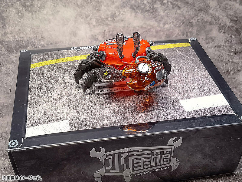 AQUACULTURE TANK 008 Fiddler Crab