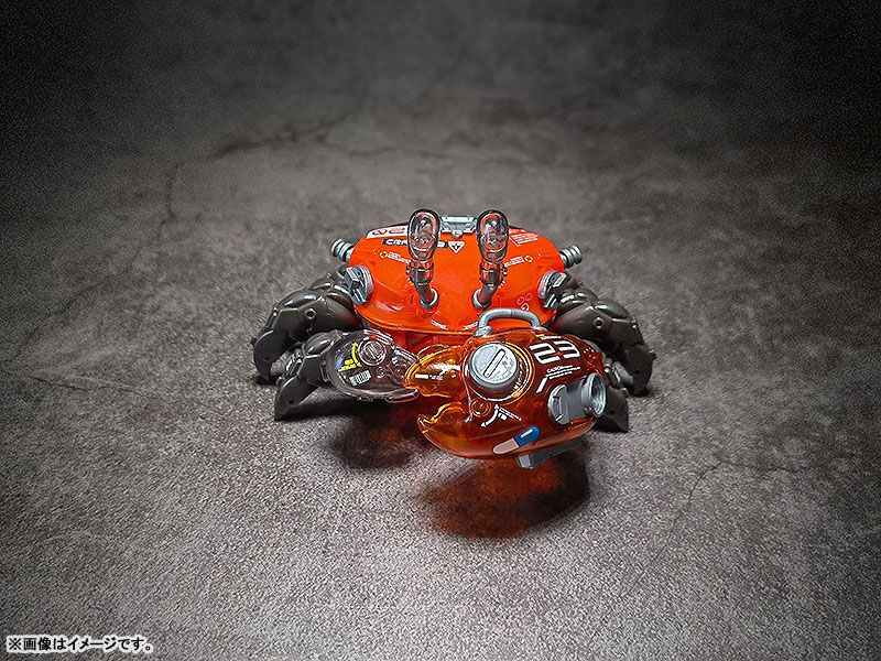 AQUACULTURE TANK 008 Fiddler Crab