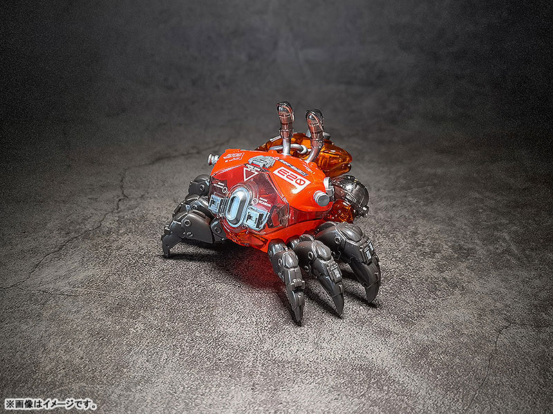 AQUACULTURE TANK 008 Fiddler Crab