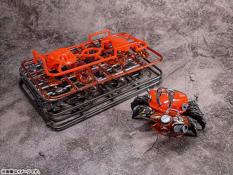 AQUACULTURE TANK 008 Fiddler Crab