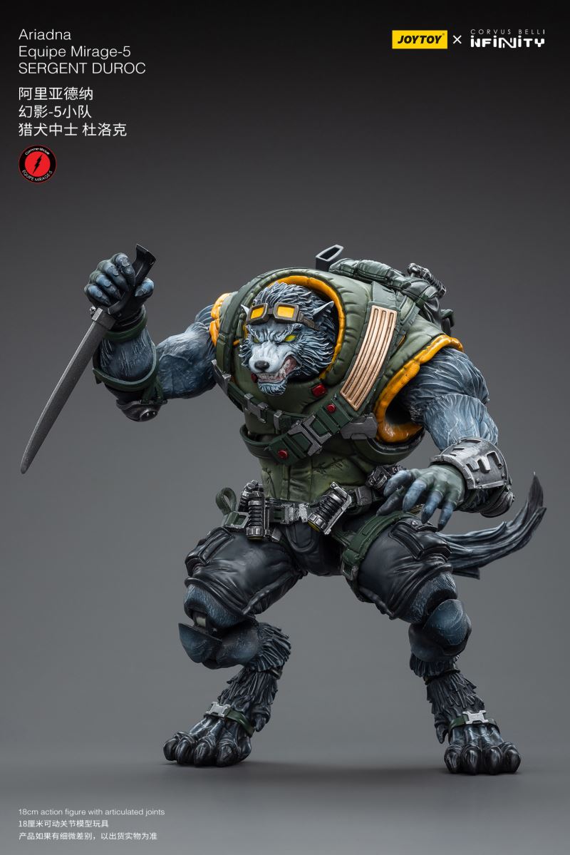 Ariadna Equipe Mirage-5