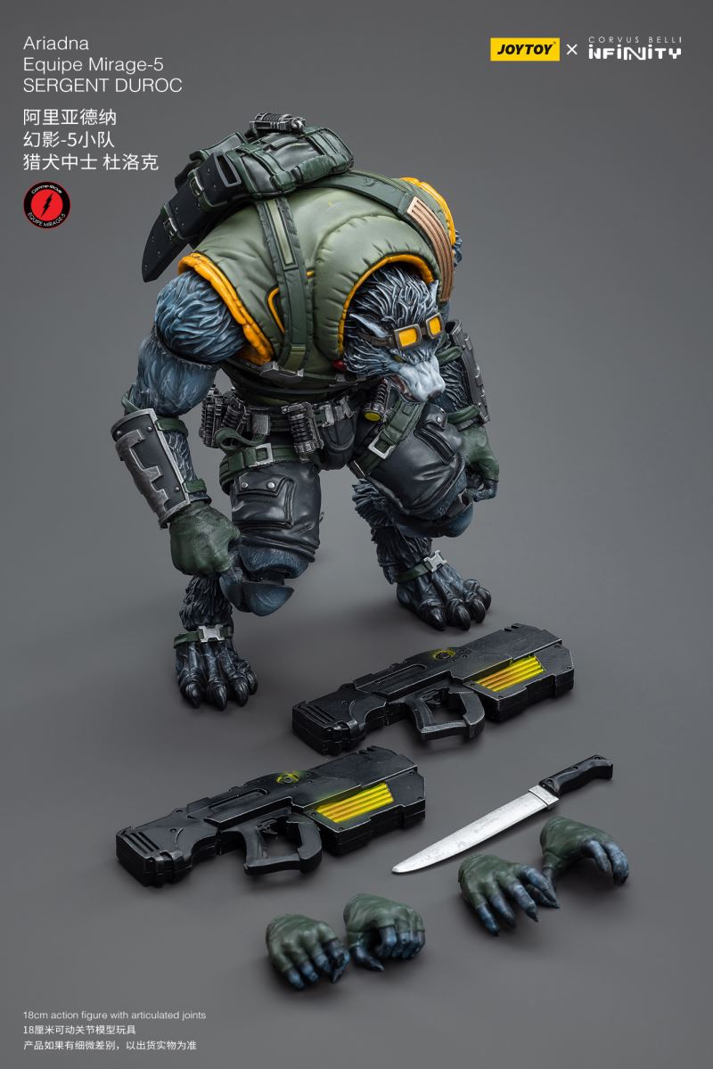 Ariadna Equipe Mirage-5