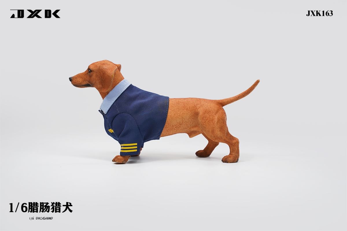 Dachshund (JXK163) 1/6