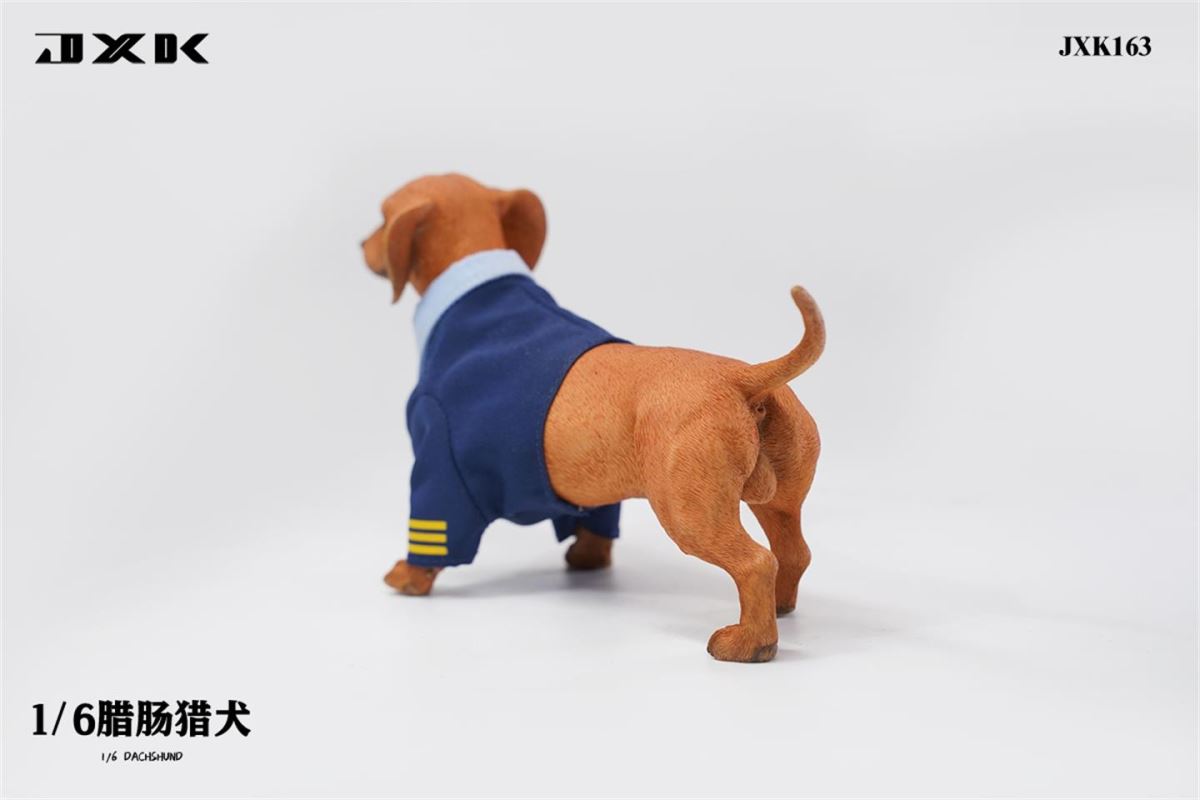Dachshund (JXK163) 1/6