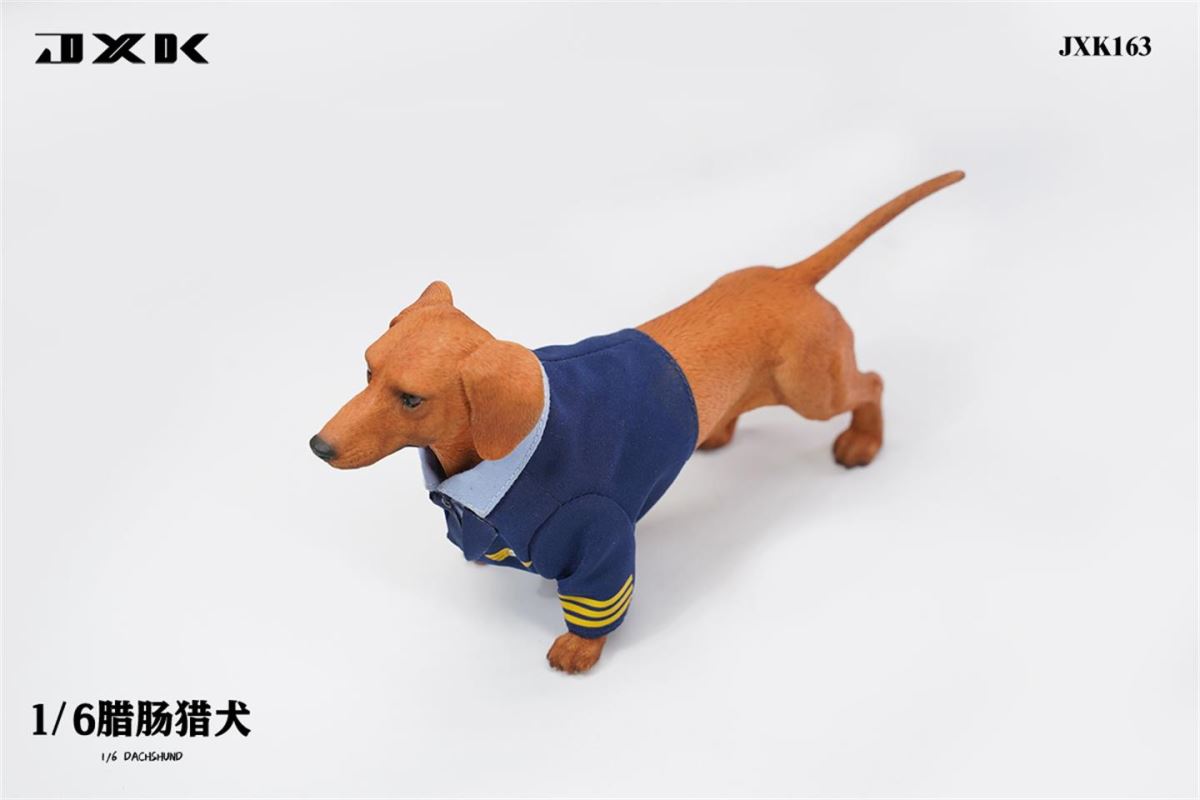 Dachshund (JXK163) 1/6