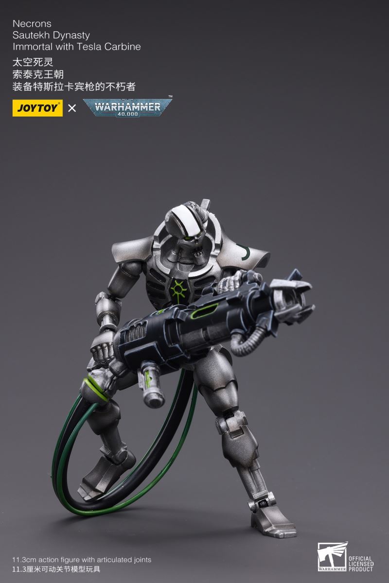 Necrons Sautek Dynasty