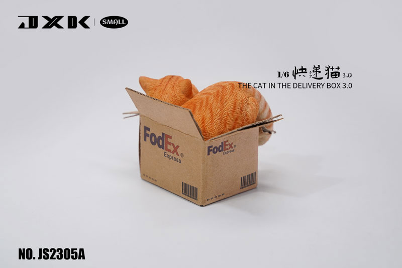 Small Cat in the Cardboard Box 3.0 A