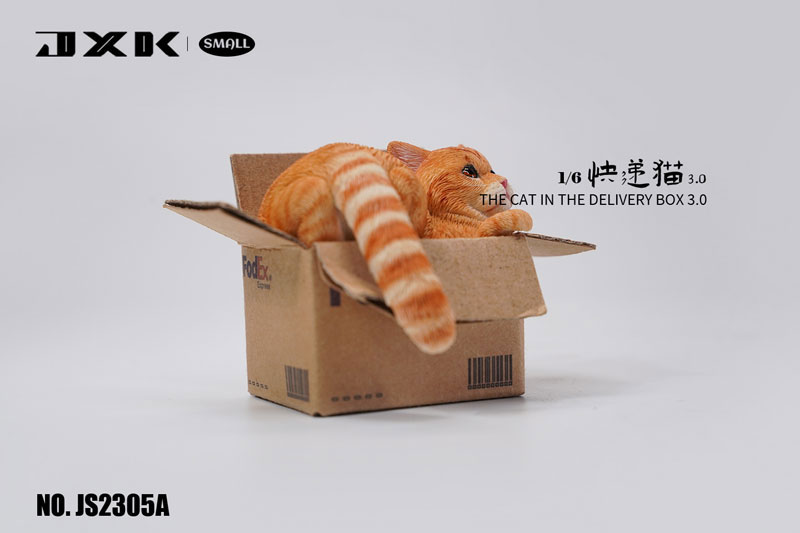 Small Cat in the Cardboard Box 3.0 A