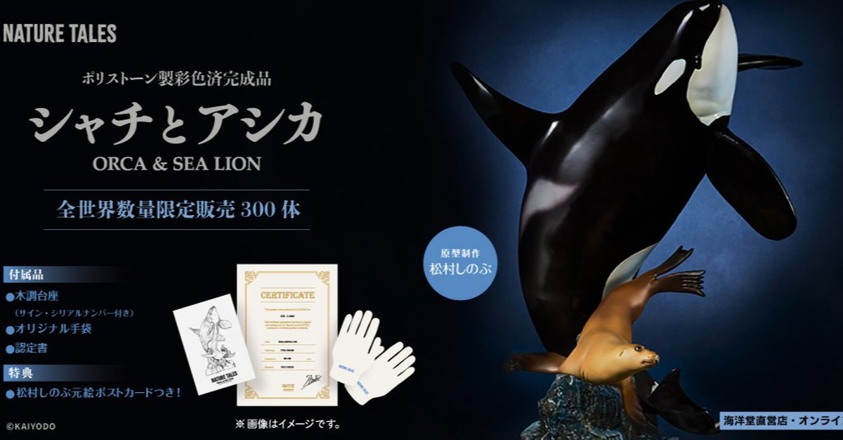 NATURE TALES killer whale and sea lion