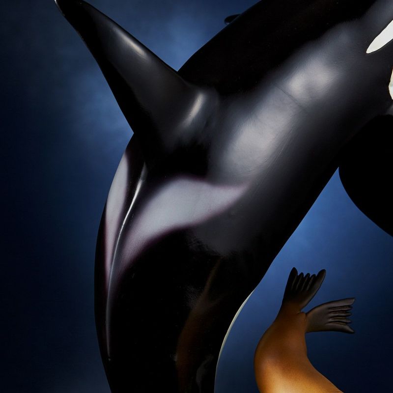 NATURE TALES killer whale and sea lion