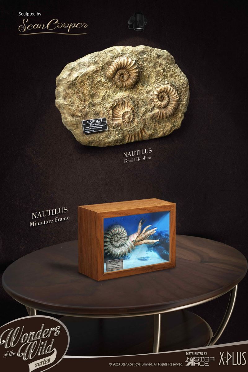 Nautilus & Trilobite