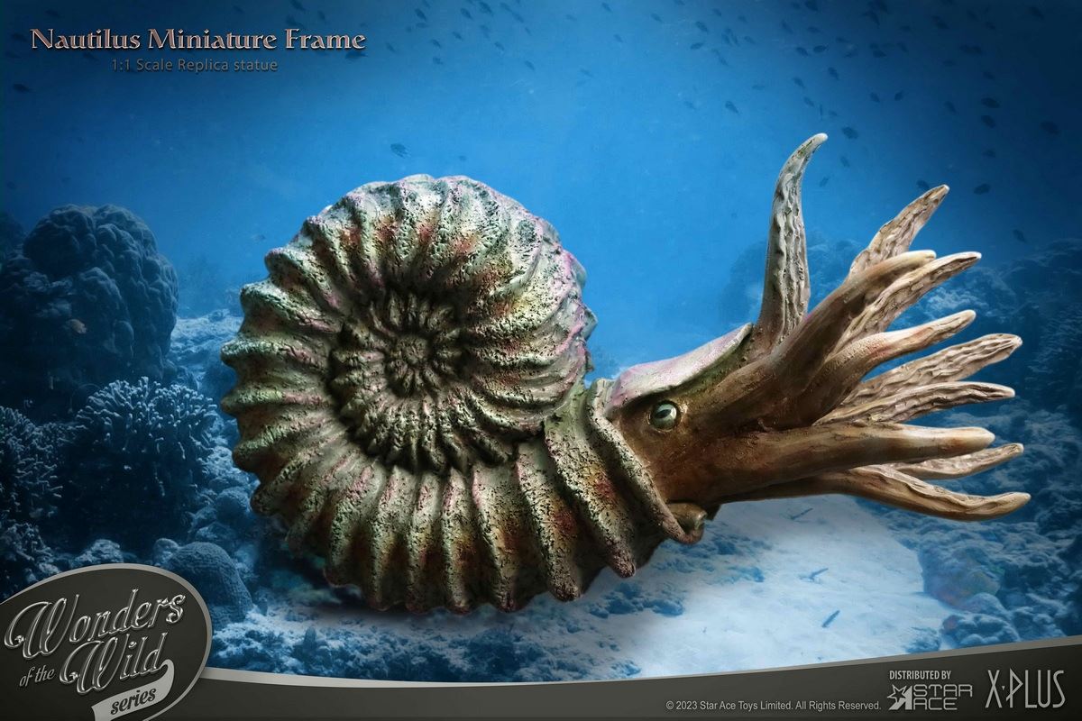Nautilus & Trilobite