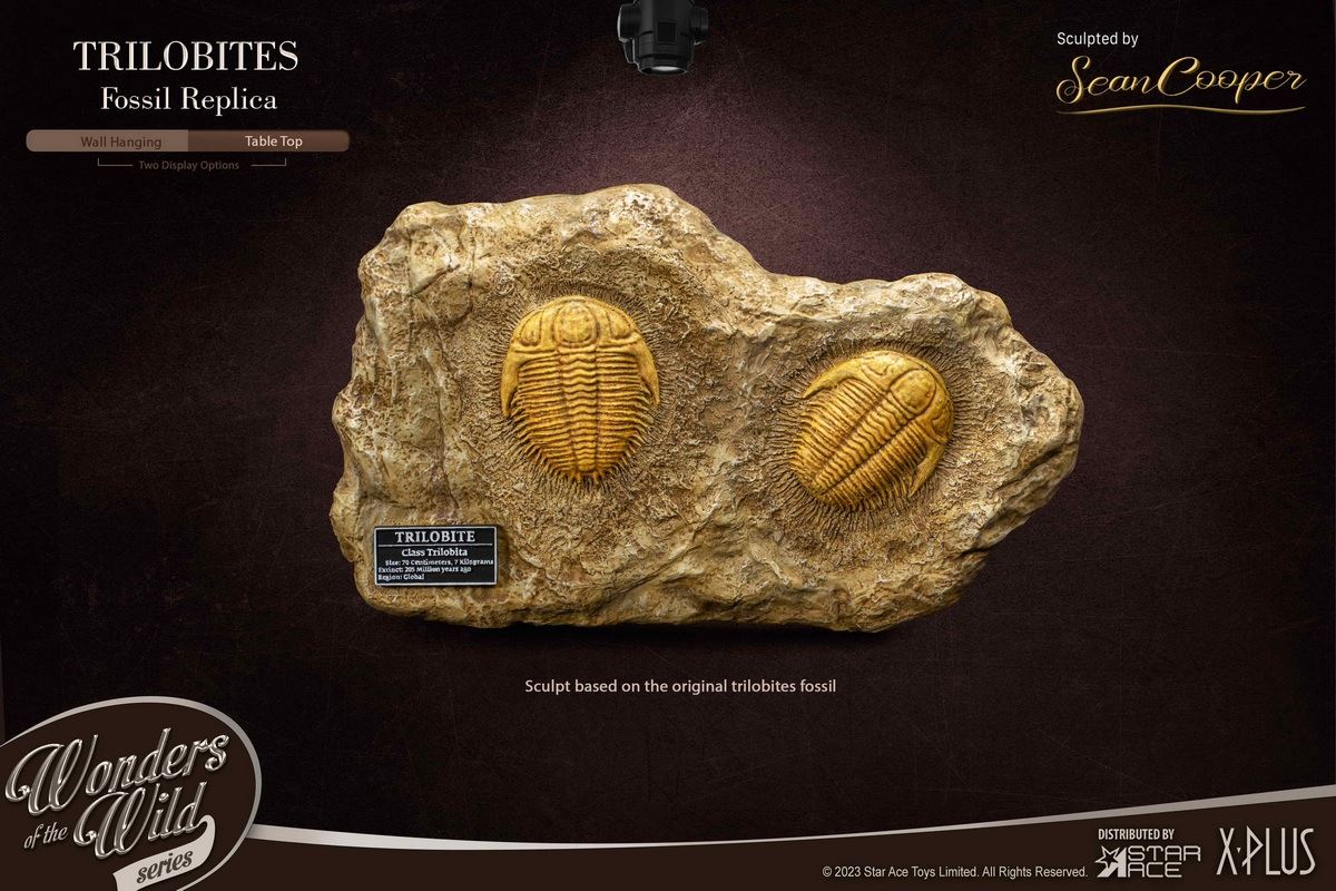 Nautilus & Trilobite