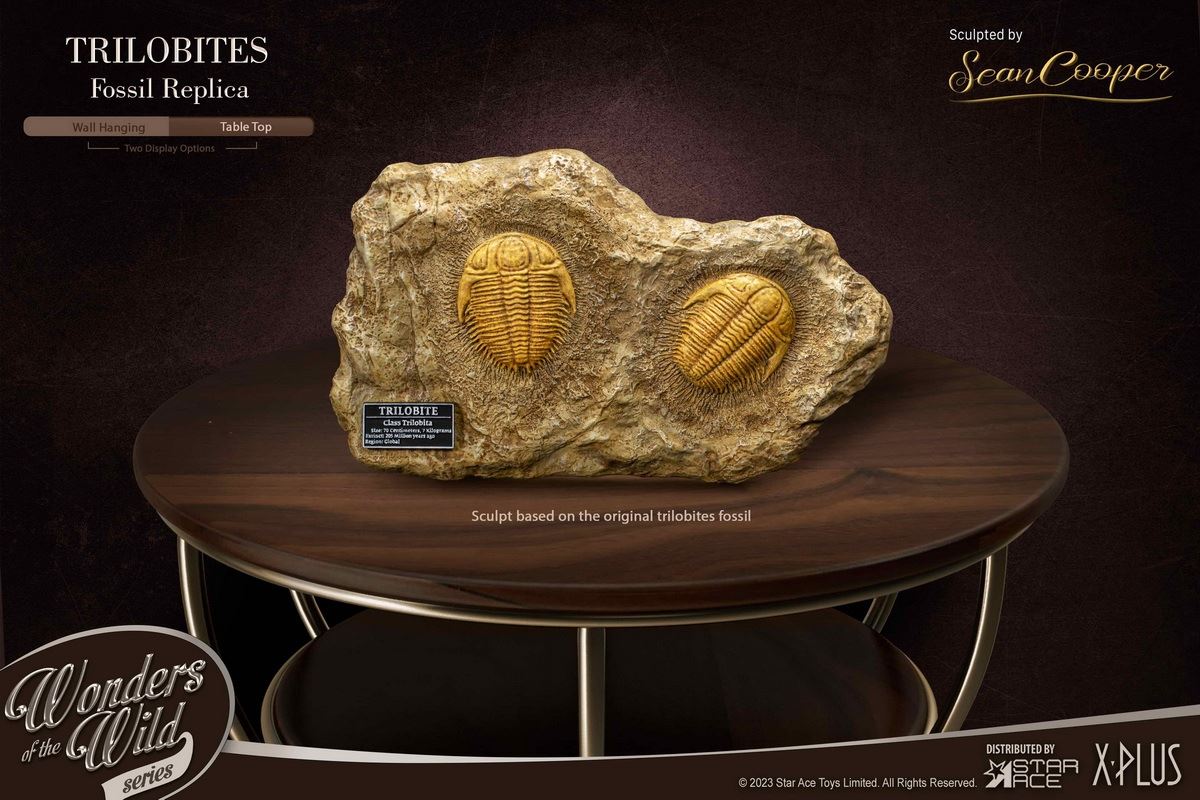 Nautilus & Trilobite