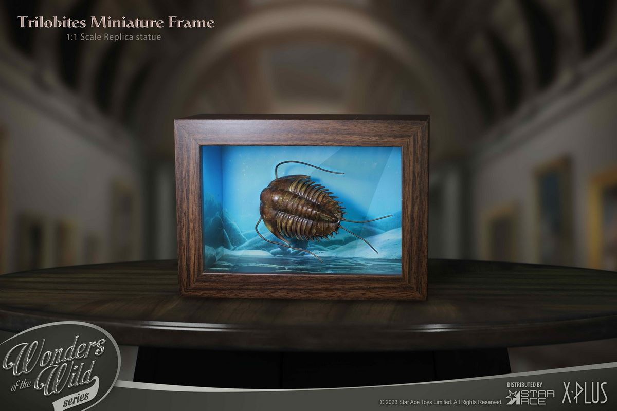 Nautilus & Trilobite