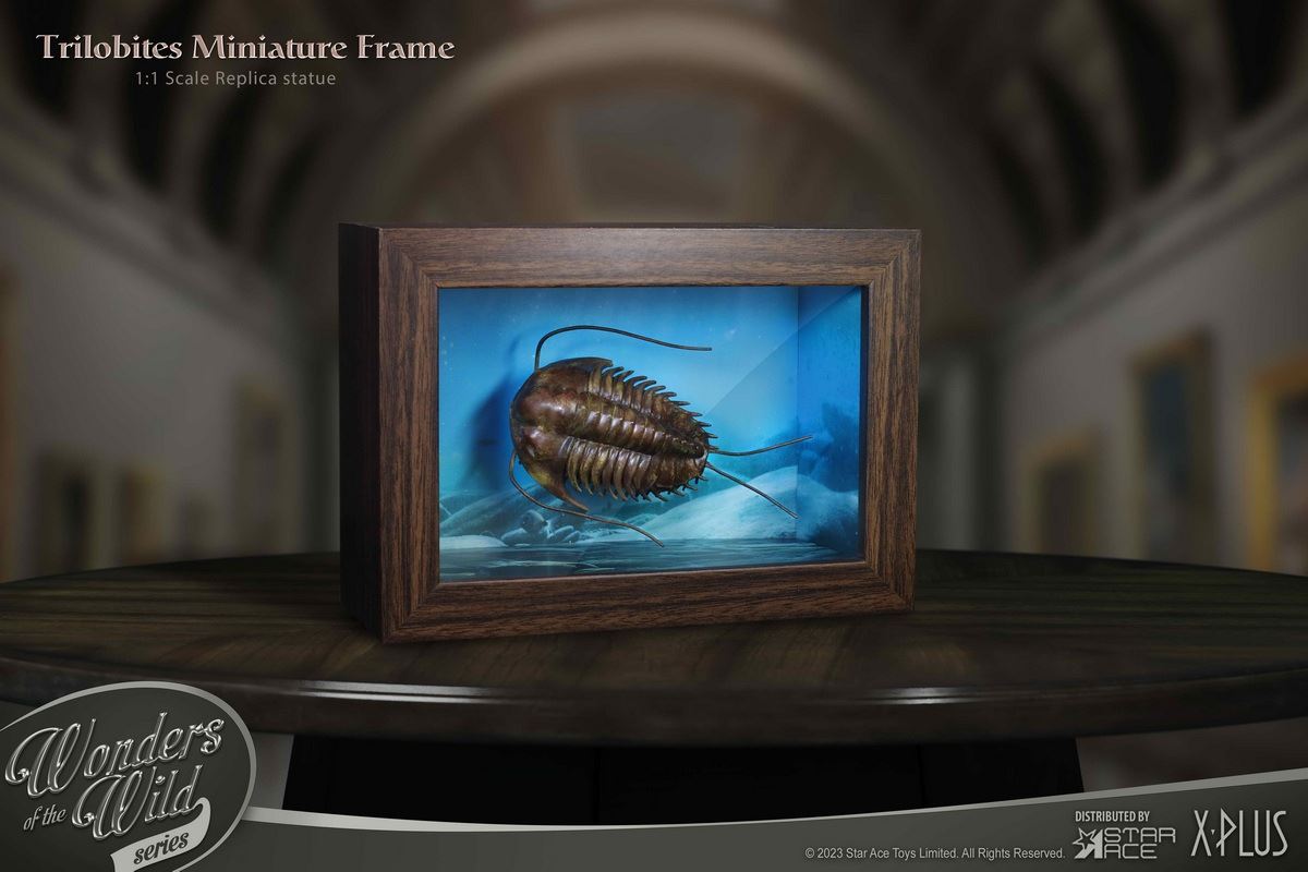 Nautilus & Trilobite