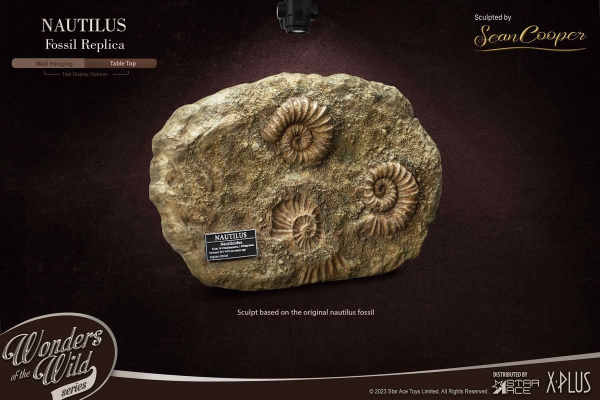 Nautilus & Trilobite