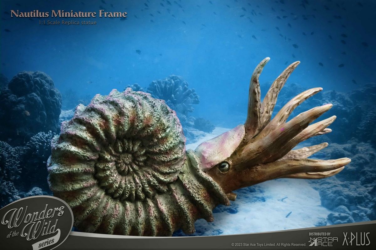 Nautilus & Trilobite