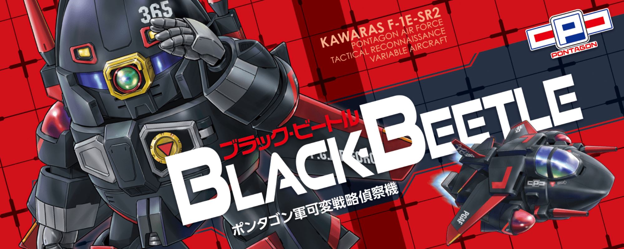 Dark Zahm/Black Beetle